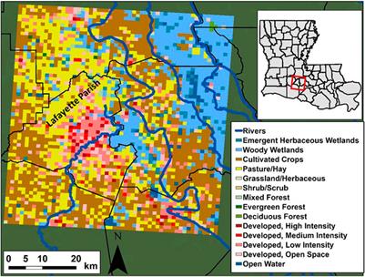 Assessment of a Spatiotemporal Deep Learning Approach for Soil Moisture Prediction and Filling the Gaps in Between Soil Moisture Observations